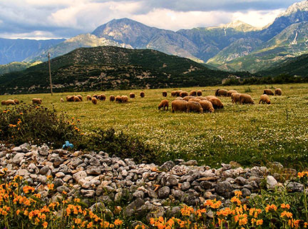 Albanian countryside, Balkan Peninsula