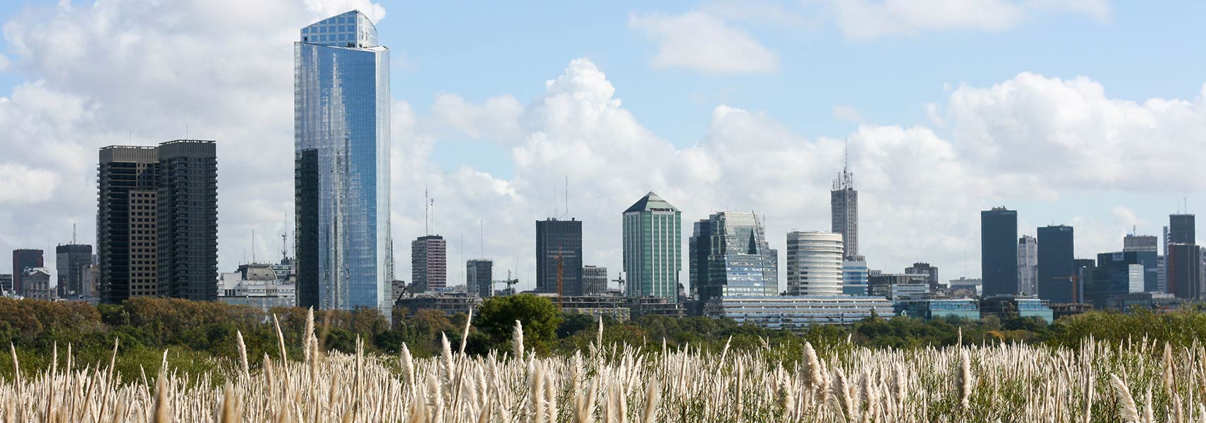 Buenos Aires skyline from Costanera Sur Ecological Reserve.