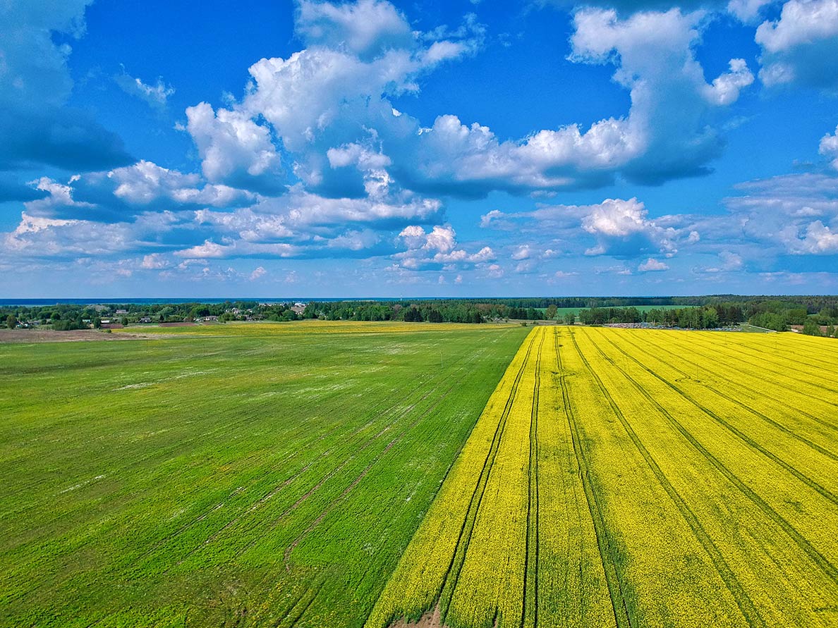 Arable land in the Kapyl district of Belarus