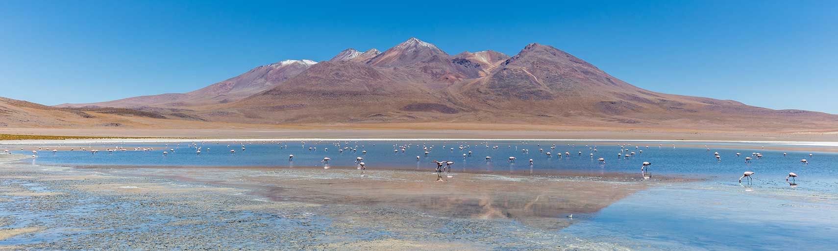 Cañapa Lake in Potosí Department of southeastern Bolivia