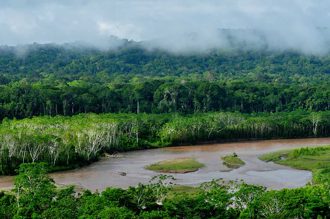 Madidi national park in the upper Amazon river basin in Bolivia