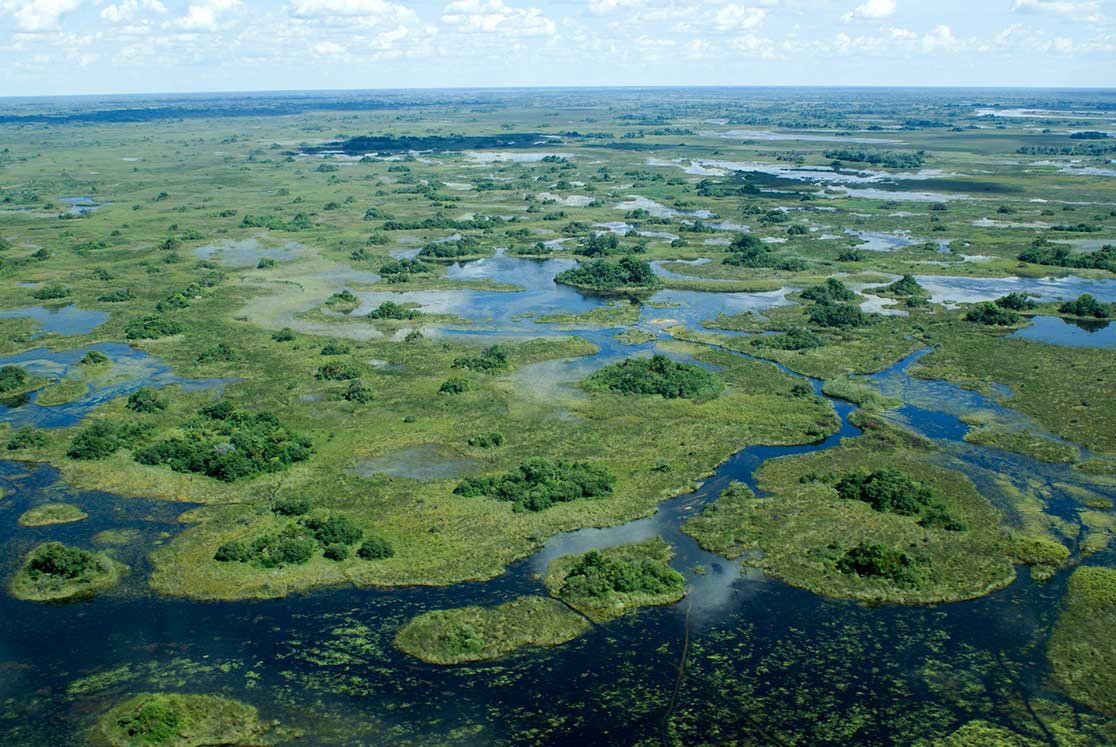 Okavango Delta, Okavango River, Botswana