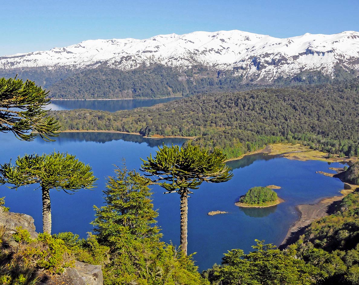 Conguillío Lake, Araucanía Region of Chile
