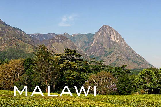 Mount Mulanje in Malawi
