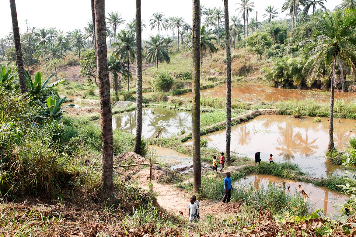 Community fish-farming ponds in the rural town of Masi Manimba