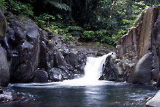 Dominica - Rain forest and waterfalls