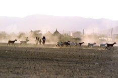 Agordat, Eritrea