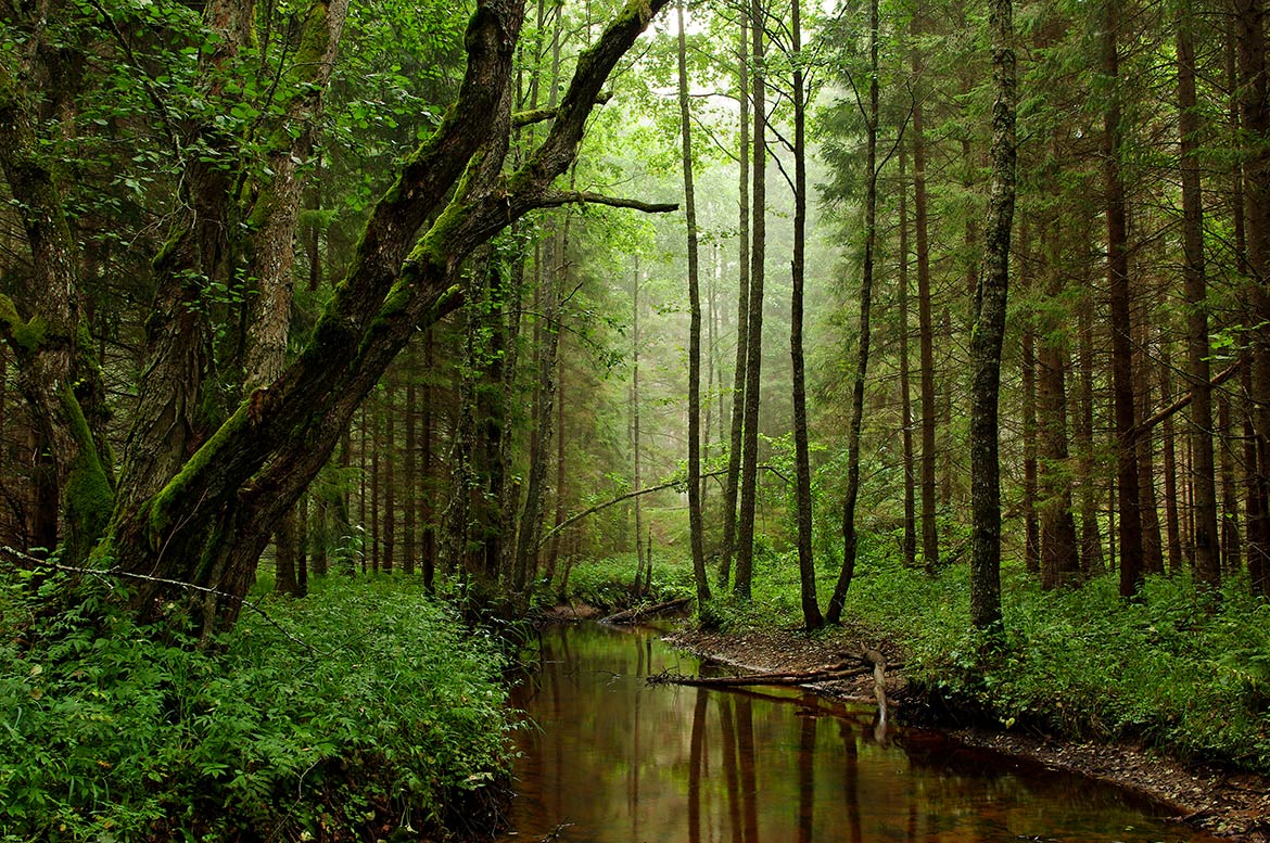 Kõrvemaa Nature Park in Estonia.