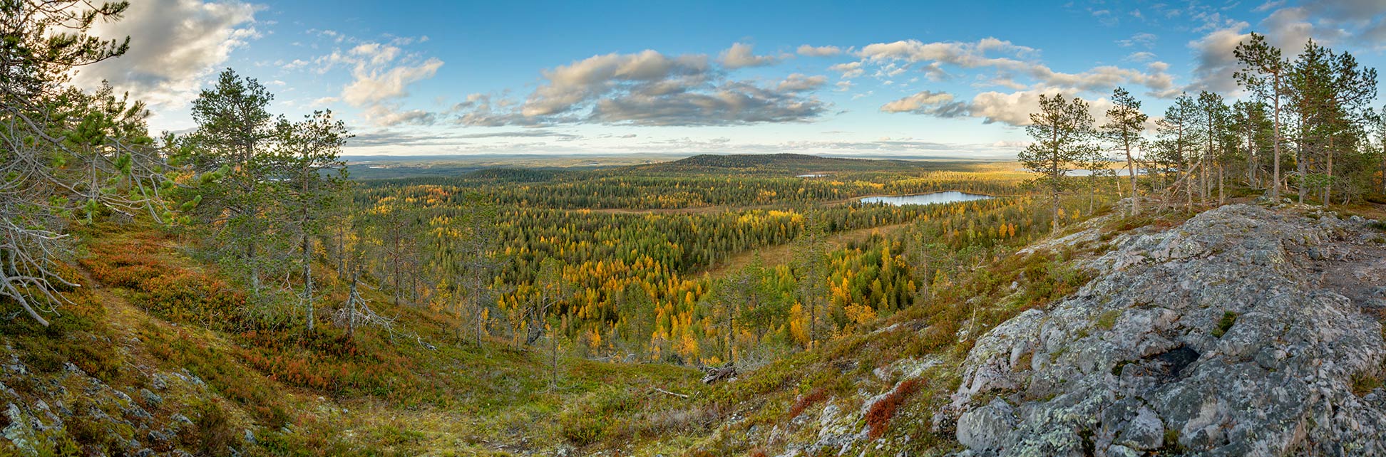 View in north direction from Konttainen hill near Kuusamo, Lapland
