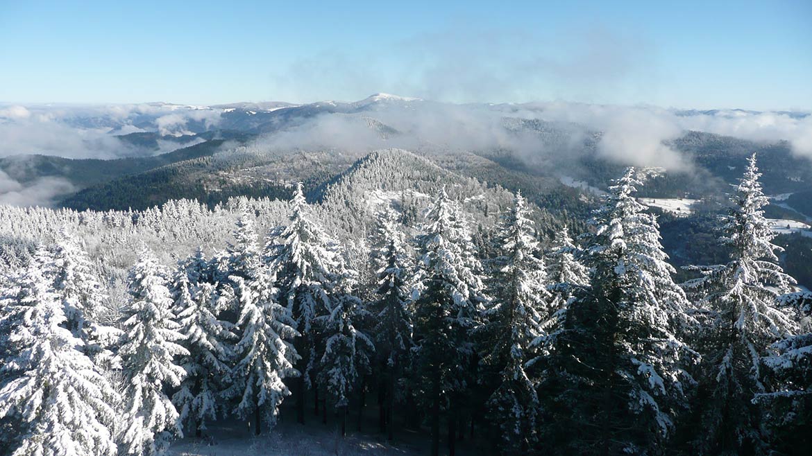 Black Forest, view from the Blauen mountain towards the Belchen