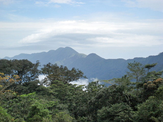 Nimba mountain range
