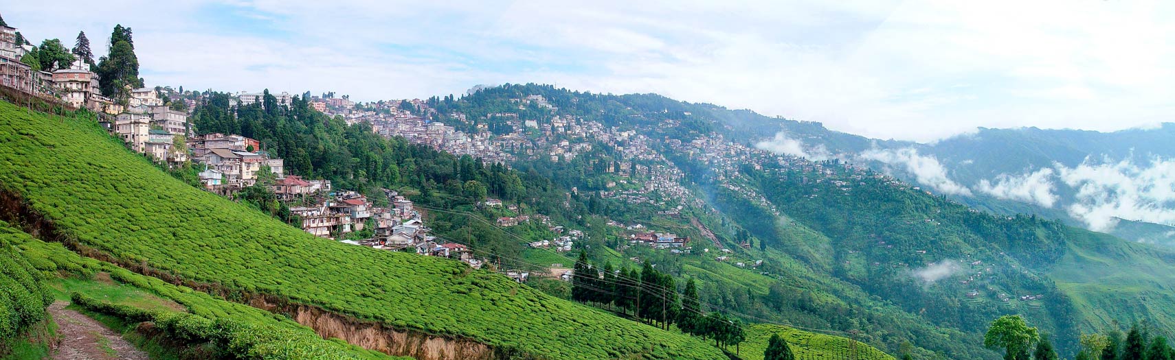 Happy Valley Tea Estate,  Darjeeling, West Bengal, India