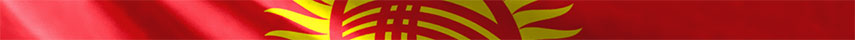 Kyrgyzstan  Flag detail