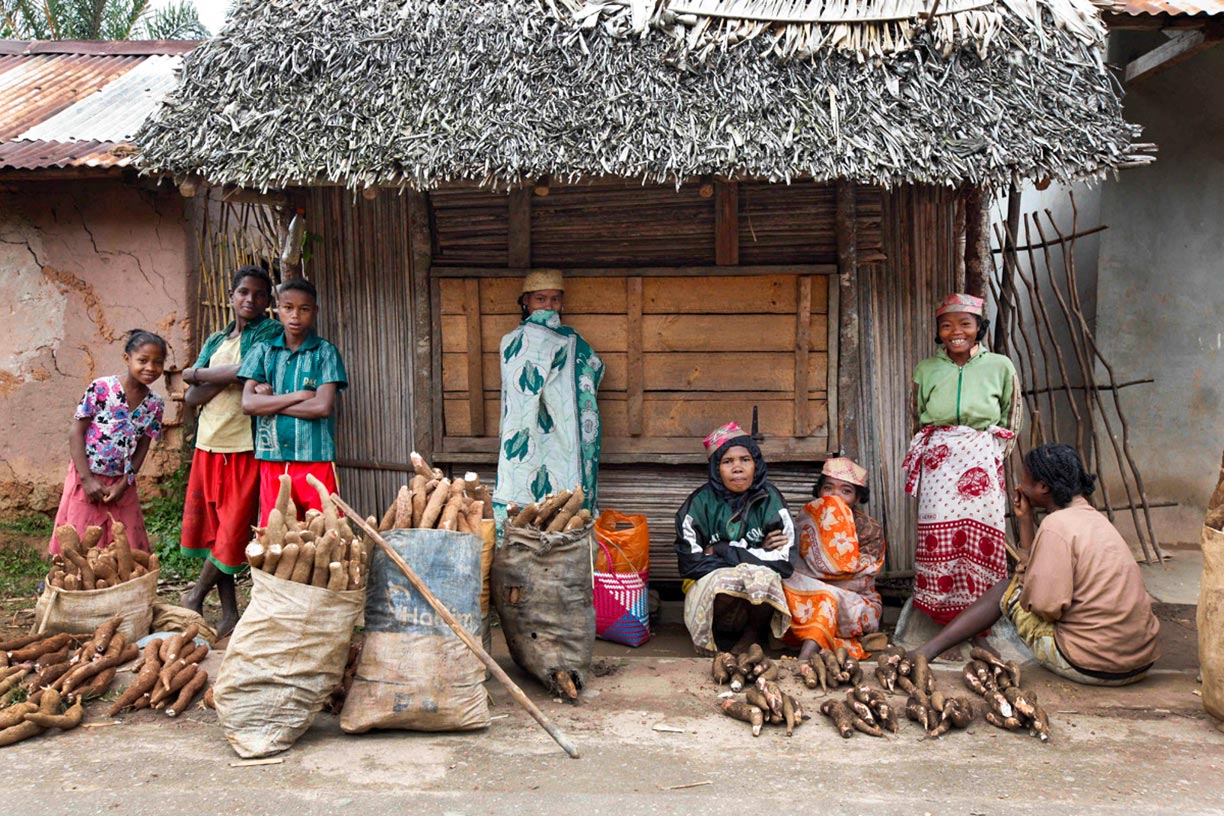 Madagascans in the countryside selling manioc roots.