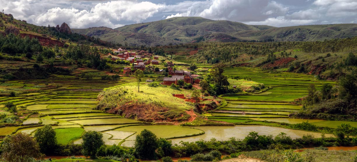 Rice fields village near Toamasina, Madagascar.