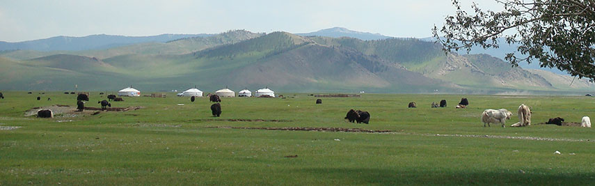 Pasture land with yurts in central Mongolia
