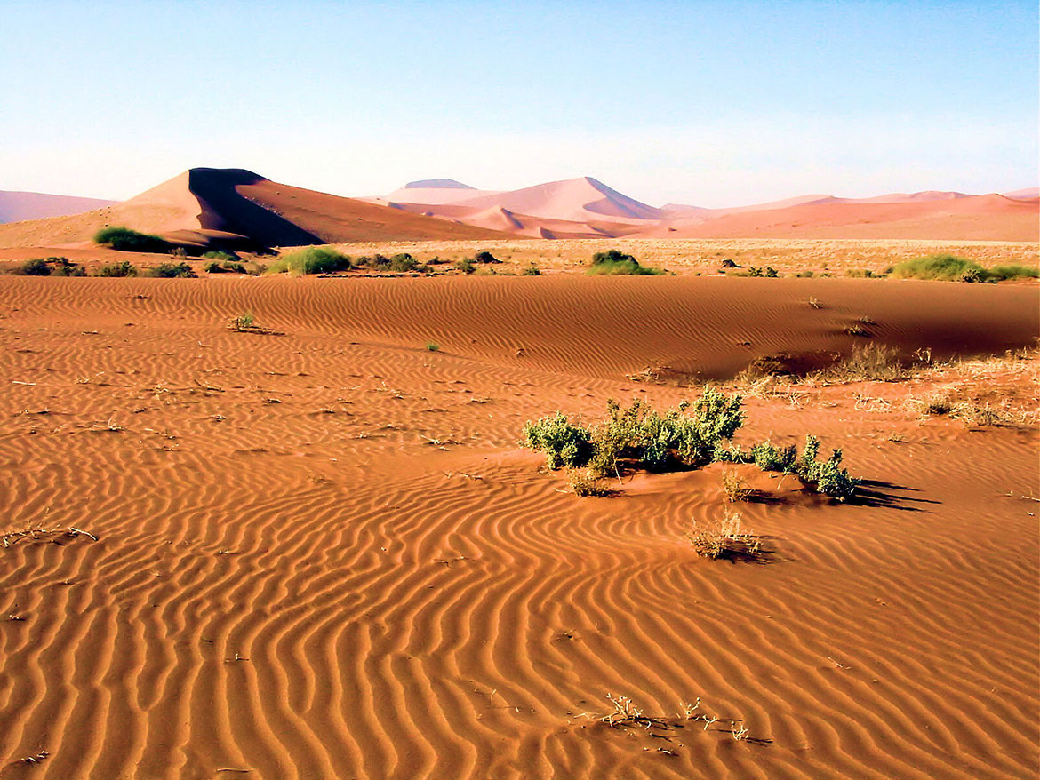 Naukluft Park in the Namib desert, Namibia