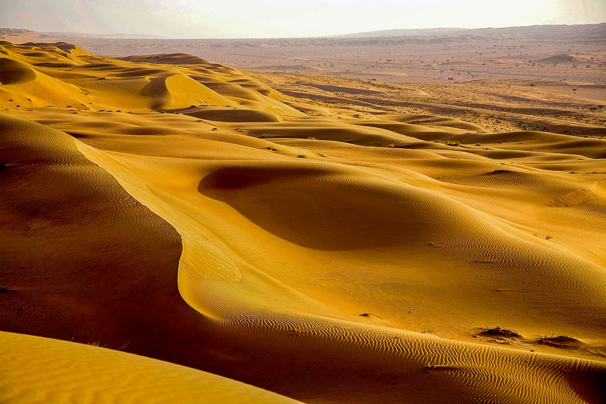 Wahiba Sands desert (Sharqiya Sands)