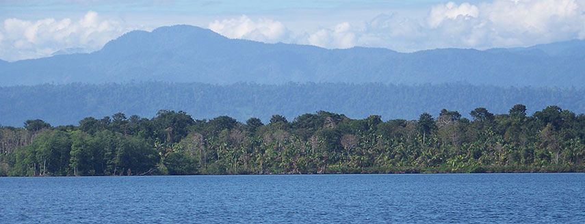 Biosphere Reserve La Amistad, Bocas del Toro Province, Panama