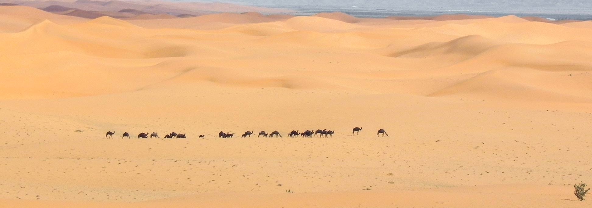 Desert landscape near the Saudi capital of Riyadh