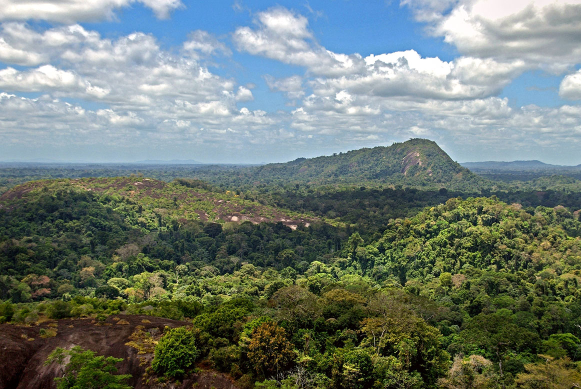 Amazon jungle with Mount Volzburg, Suriname