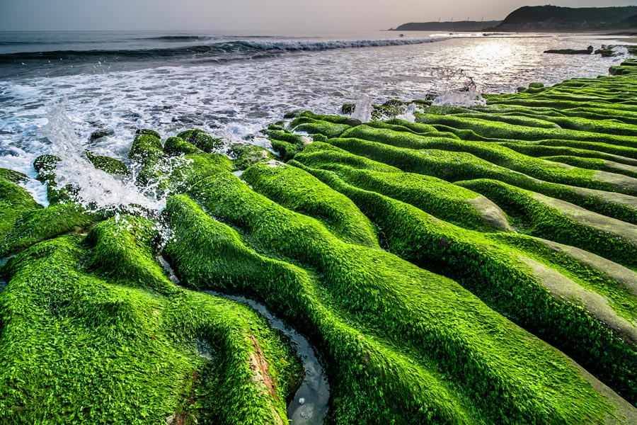 Laomei Green Reef is part of the North Coast and Guanyinshan National Scenic Area