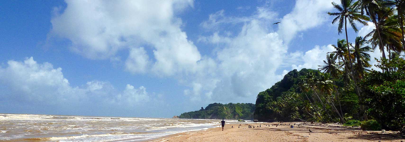 Trinidad's east coast at the Atlantic Ocean