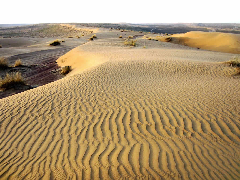Sand dunes in the Karakum Desert, Turkmenistan