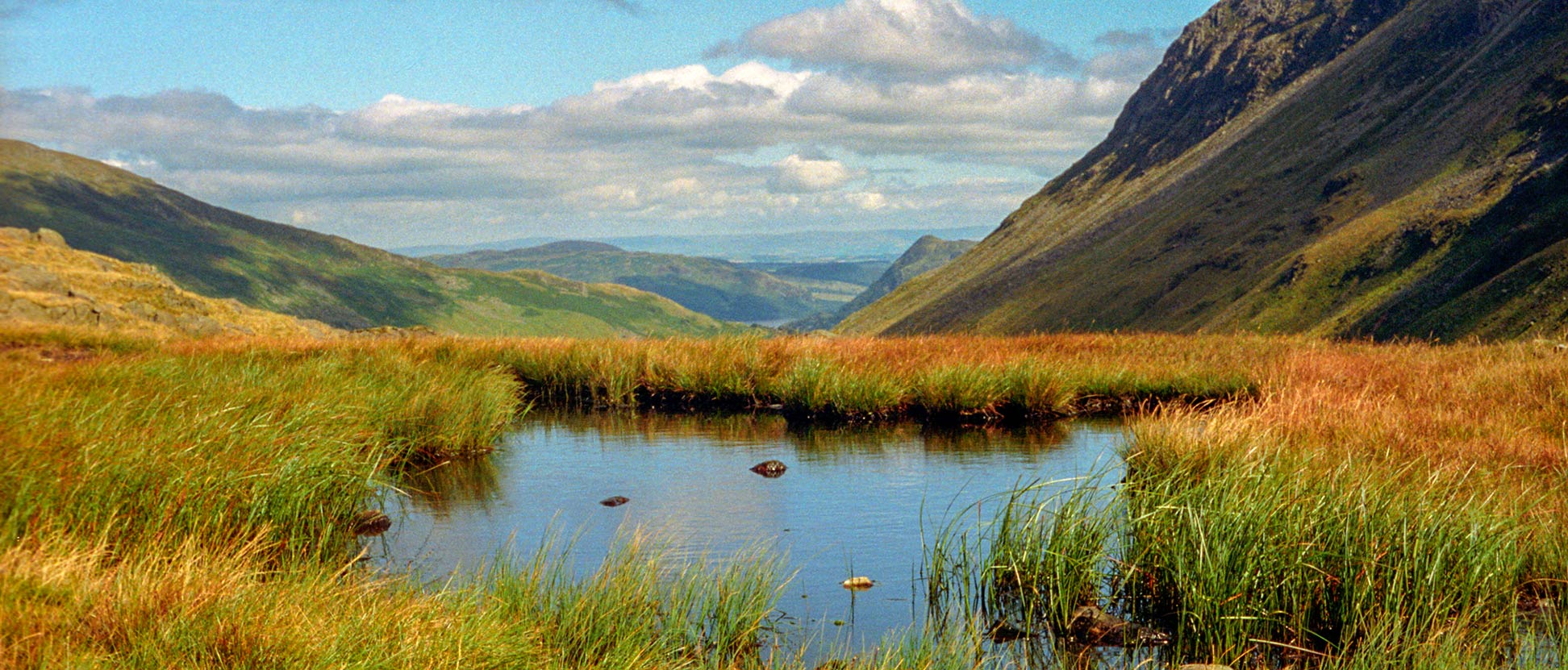 English landscape with bog, United Kingdom