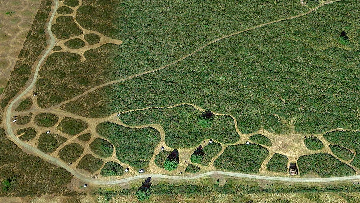 Mima Mounds Natural Area Preserve near Olympia, Washington State