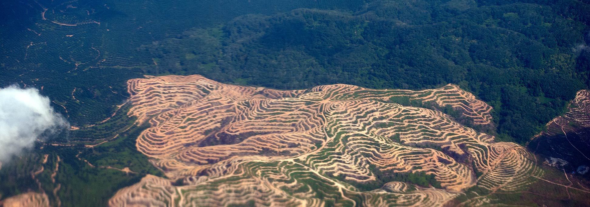 Terraced landscape in northern Malaysia