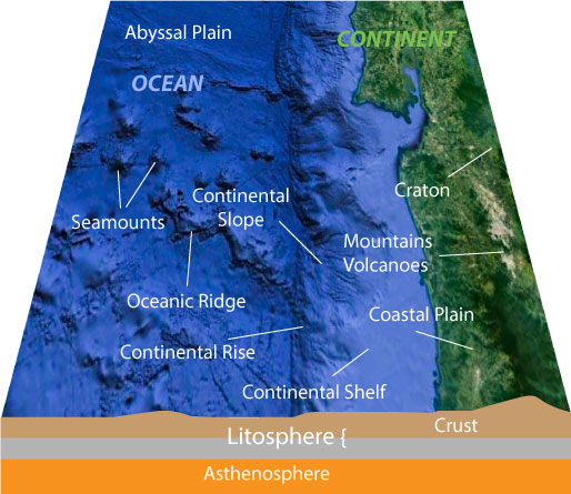 Coastal Zone with coastal plain, continental shelf, continental slope and abyssal plain